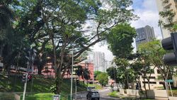 Blk 171 Stirling View (Queenstown), HDB 3 Rooms #504593701